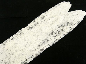 resize_image (2)
